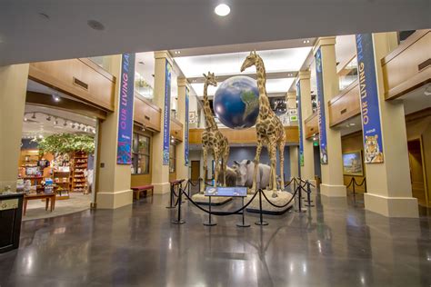 Life and science museum - Founded in 1989, the Delaware AeroSpace Education Foundation (DASEF), an independent non-profit education organization having 501(c)(3) status, functions to raise the visibility …